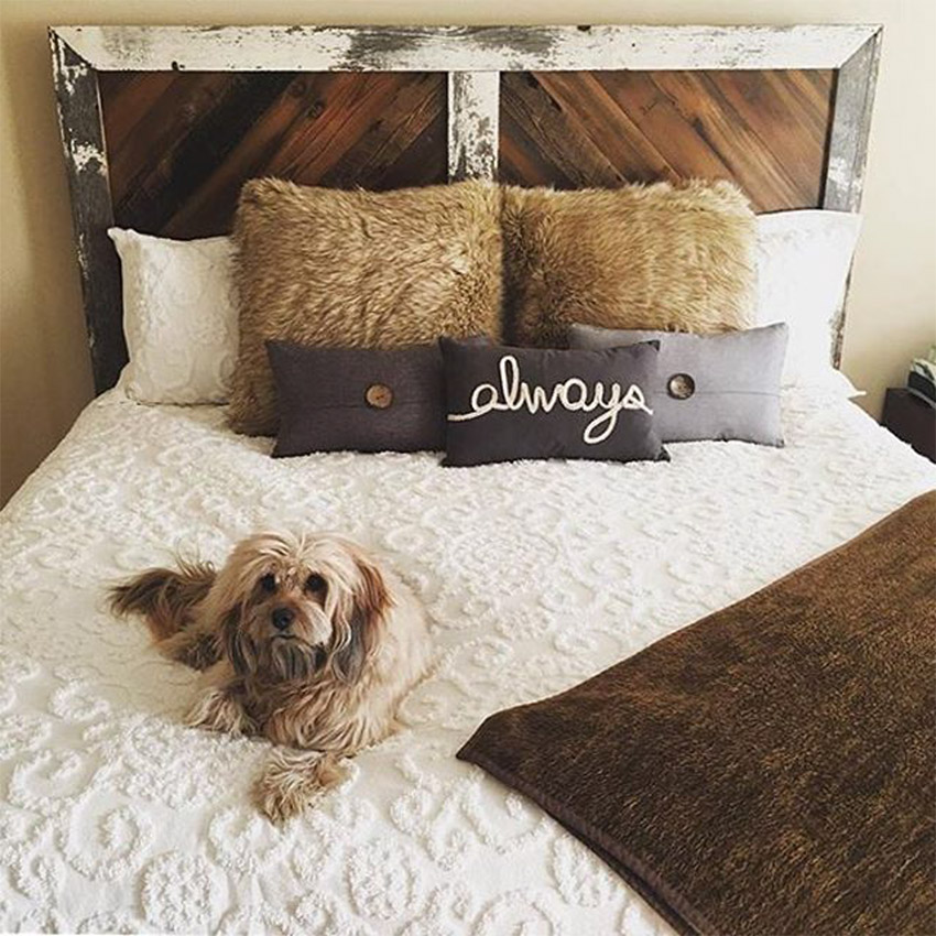 reclaimed-wood-barn-door-headboard.jpg