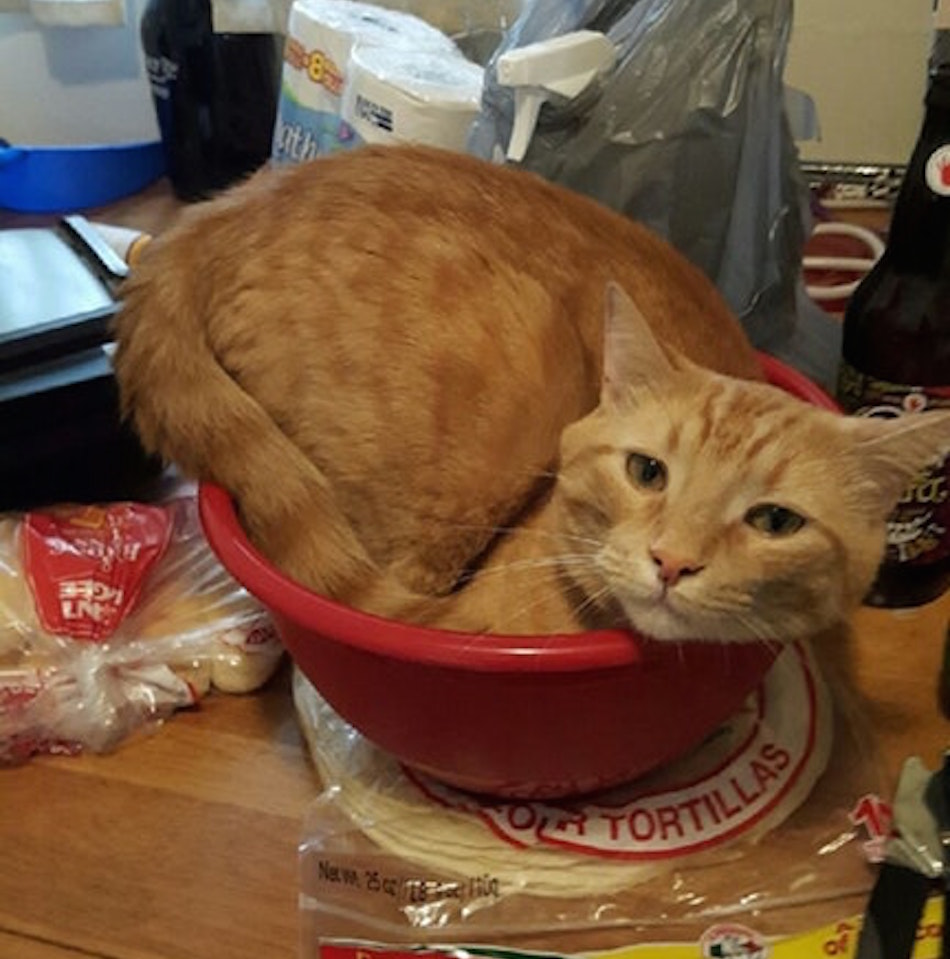 red-bowl.jpg