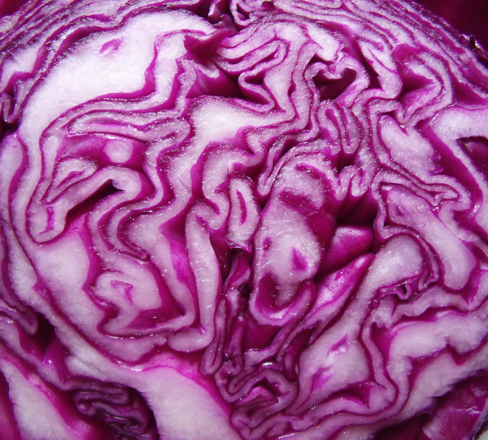 red-cabbage-dye.jpg