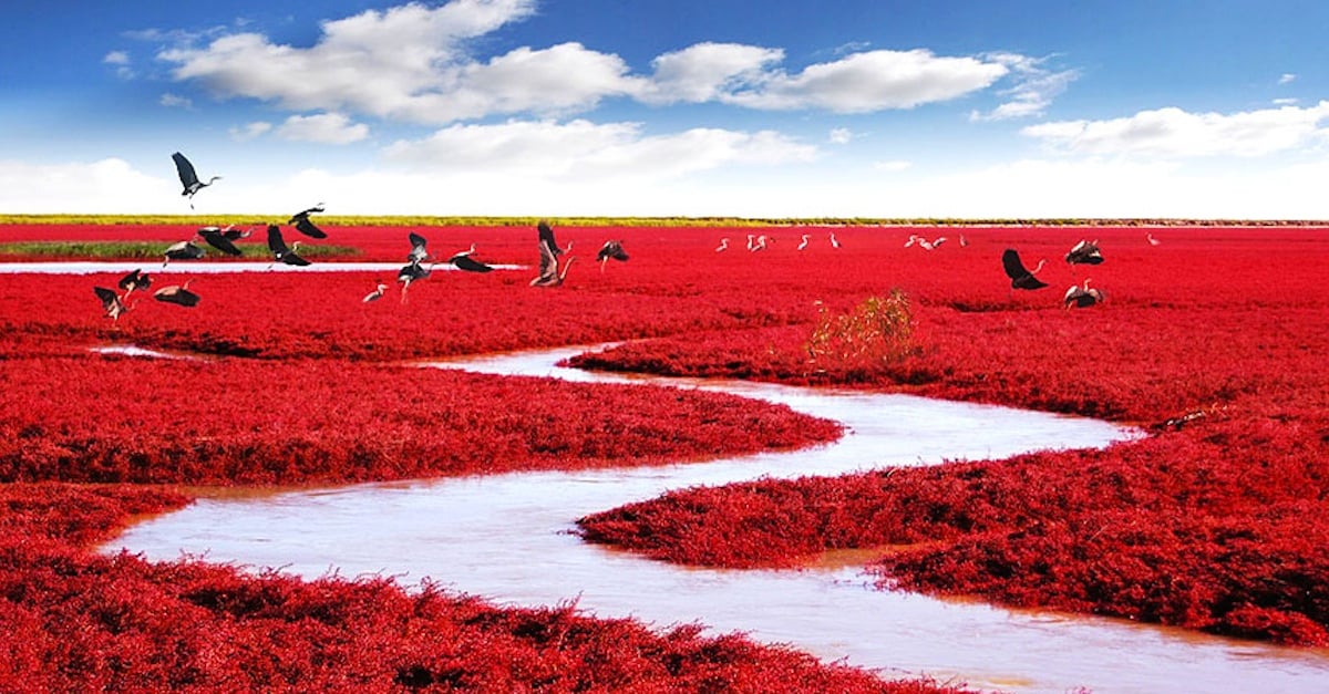 redbeach.jpg redbeach.jpg