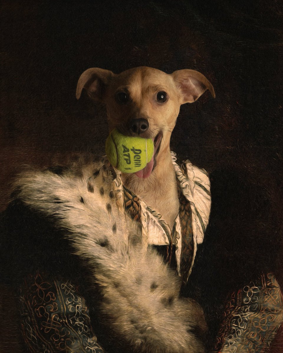 regal-pup-1.jpg