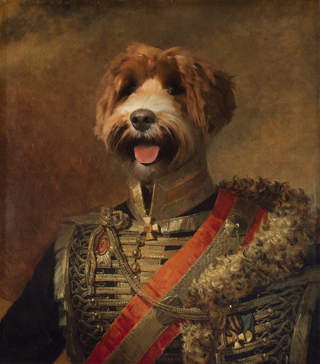 regal-pup-7.jpg