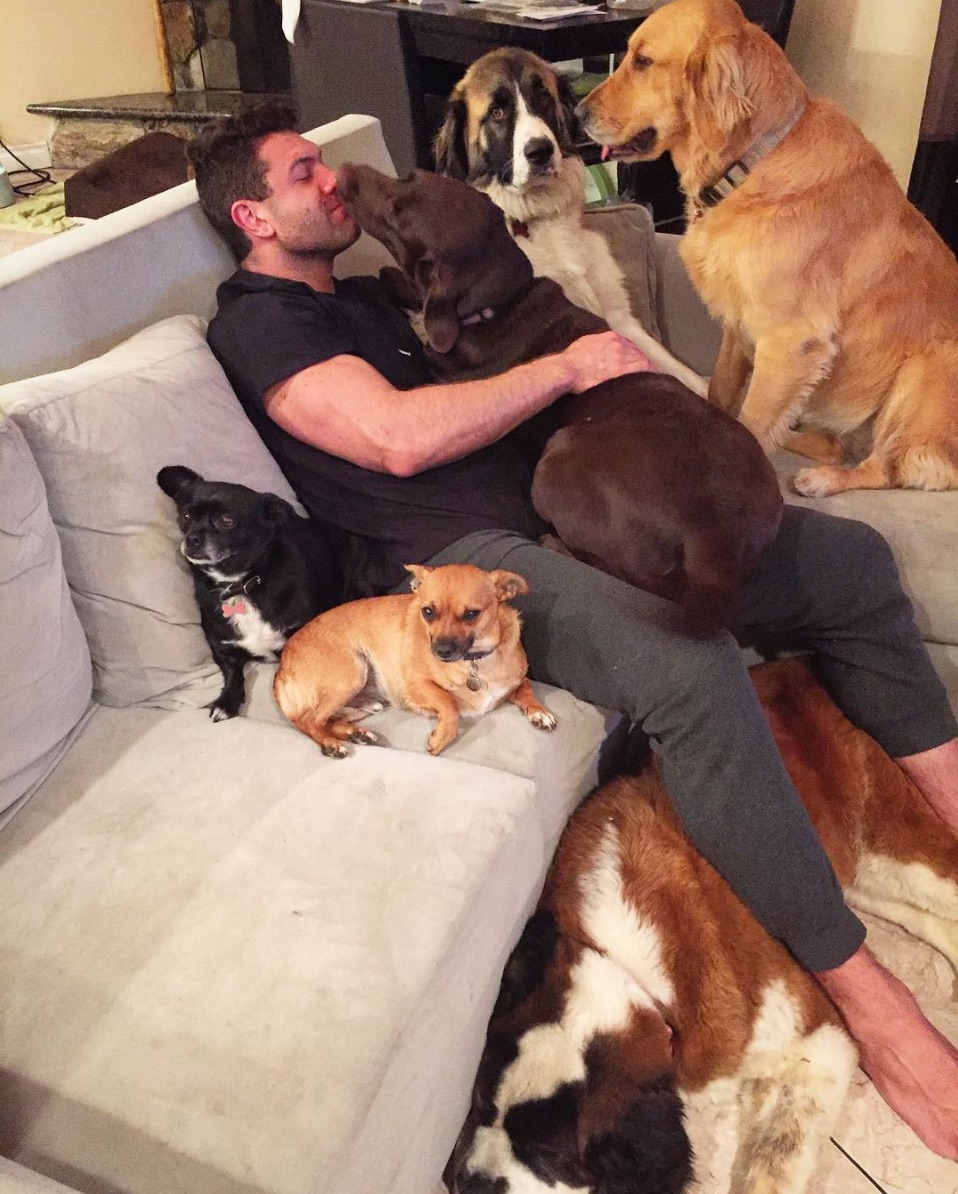 rescue-foster.jpg