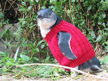 resizedimage350261-Knitted-jumper-lores_2.jpg