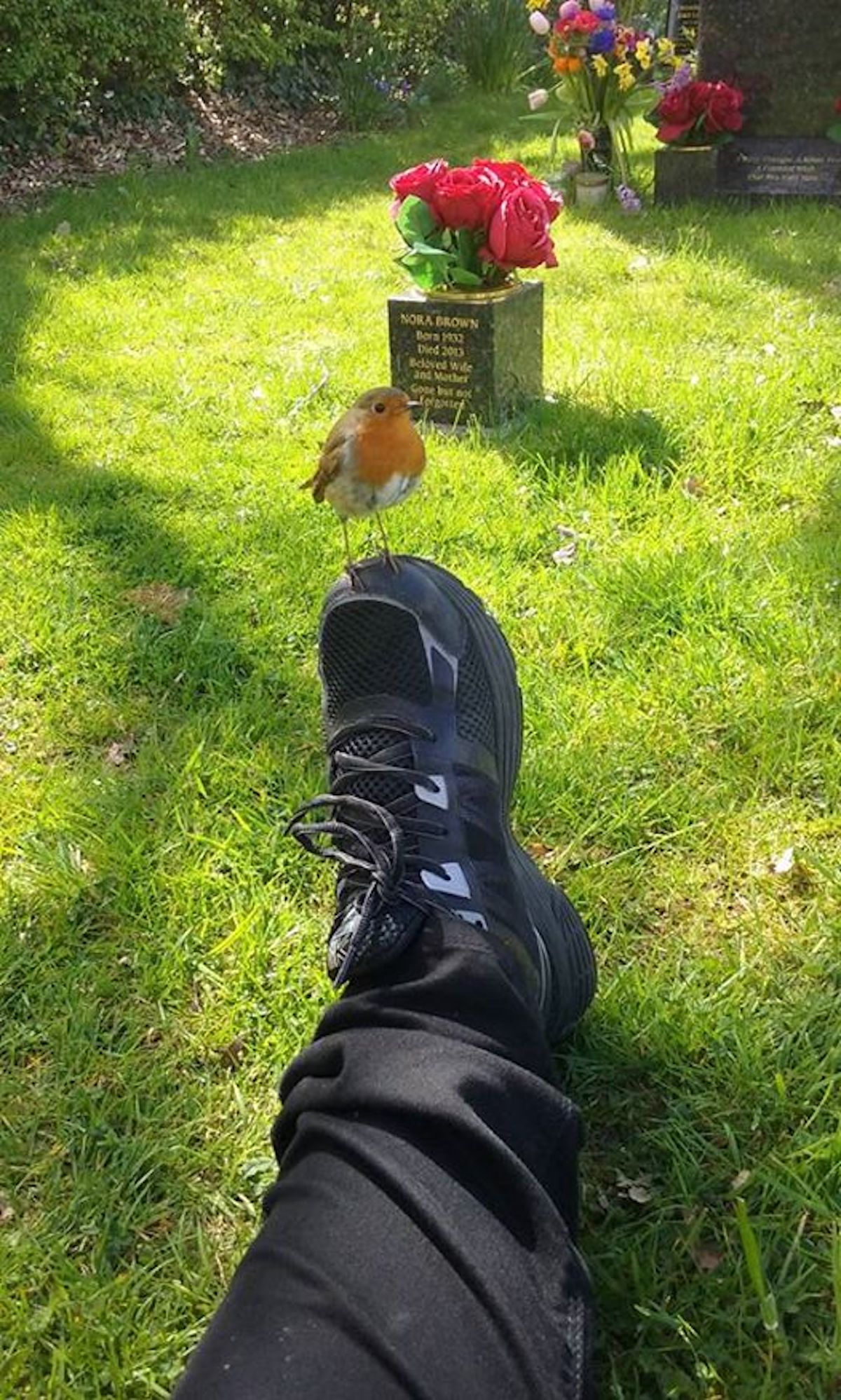 robin-sign-from-heaven-5.jpg