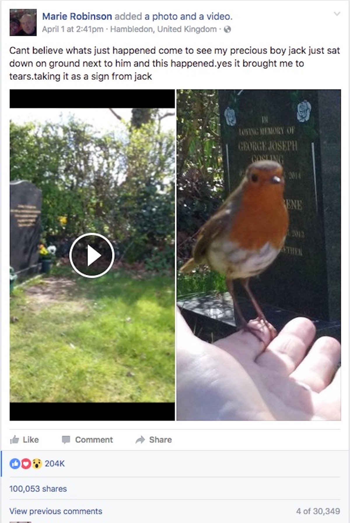 robin-sign-from-heaven-6.jpg robin-sign-from-heaven-6.jpg
