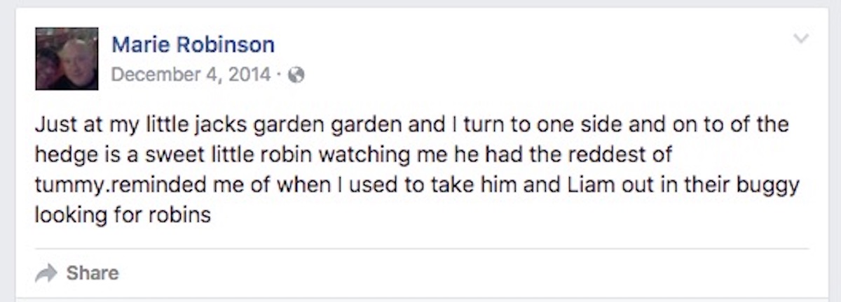 robin-sign-from-heaven-7.jpg