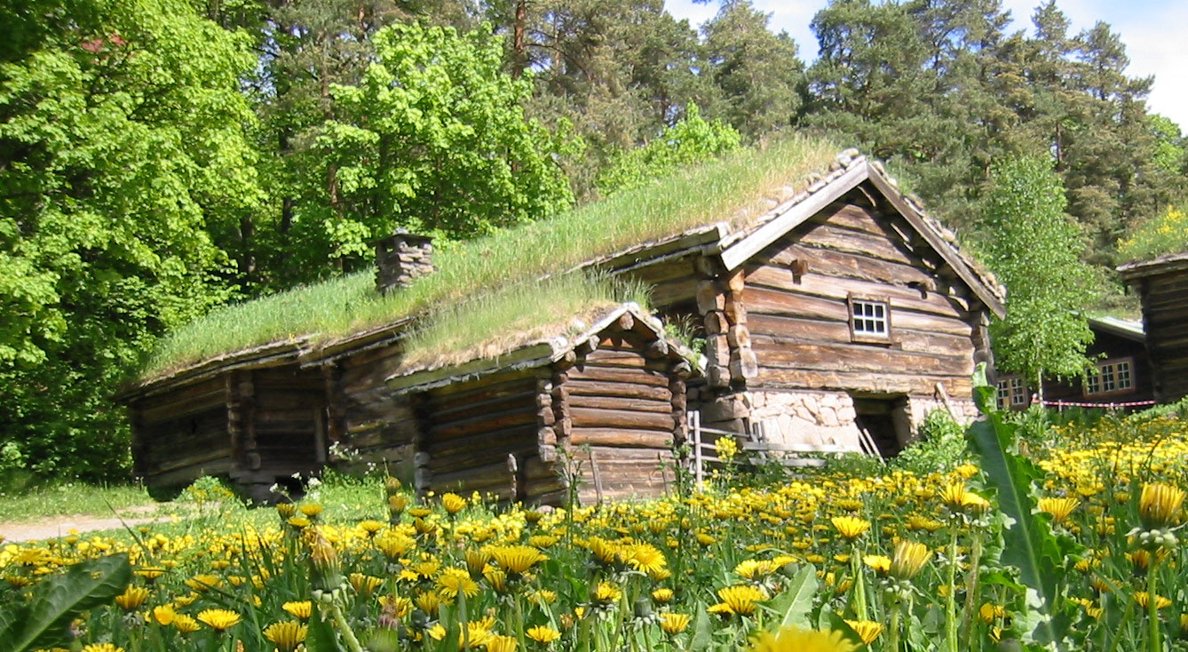 roof-1-1.jpg