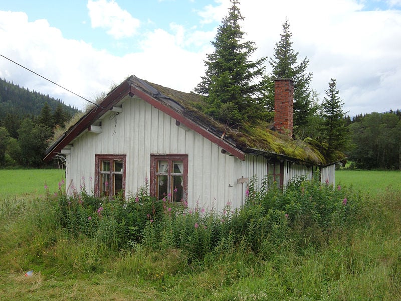 roof-3-1.jpg