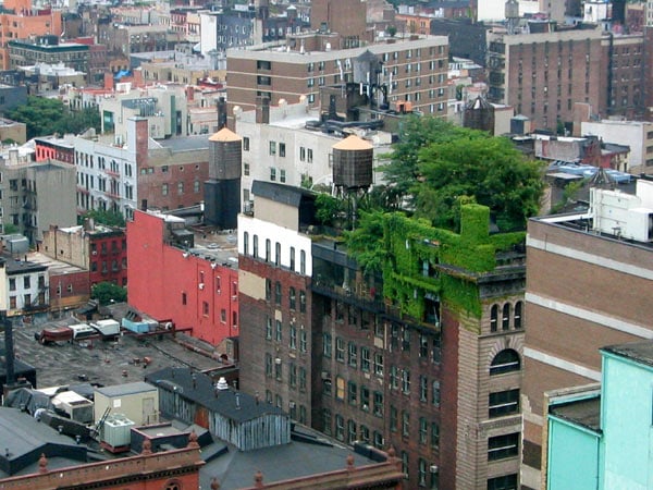 roof-8.jpg