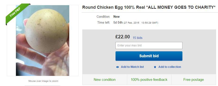 round-egg-1.jpg