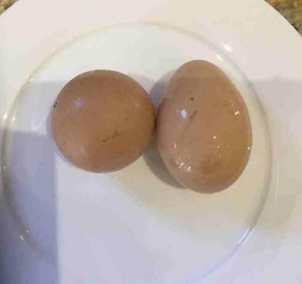 round-egg-2.jpg