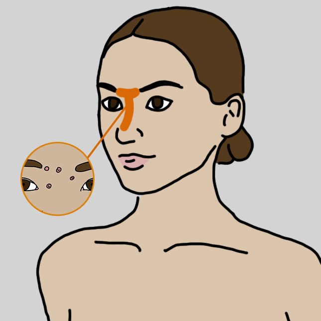 round2_0003_Layer-Comp-4.jpg