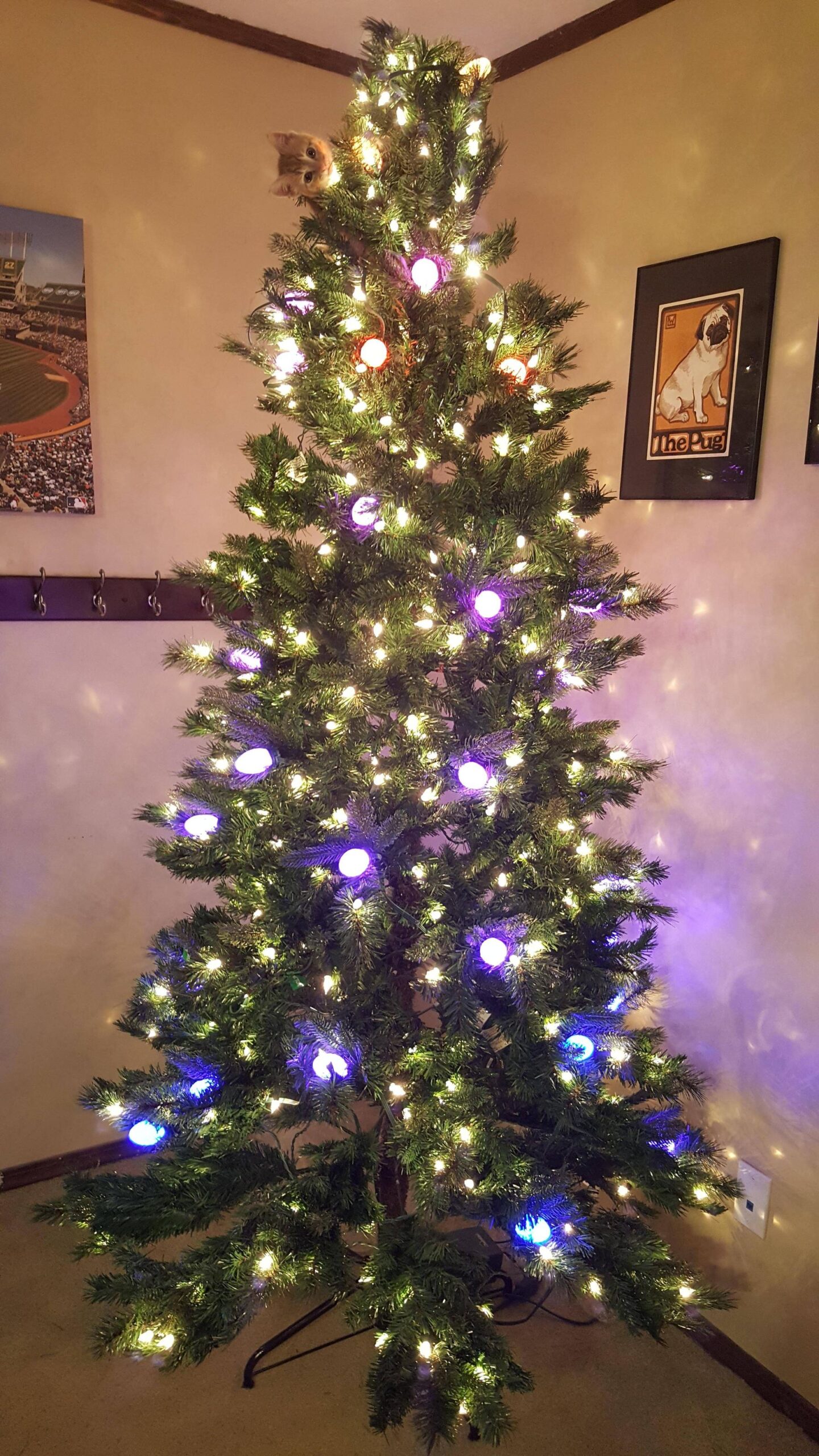 ruin-xmas-11.jpg