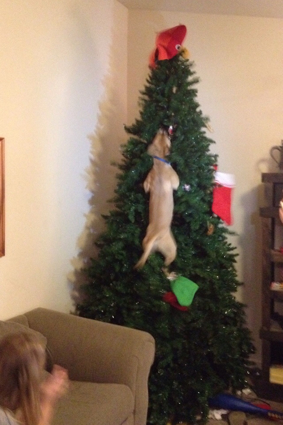 ruin-xmas-12.jpg