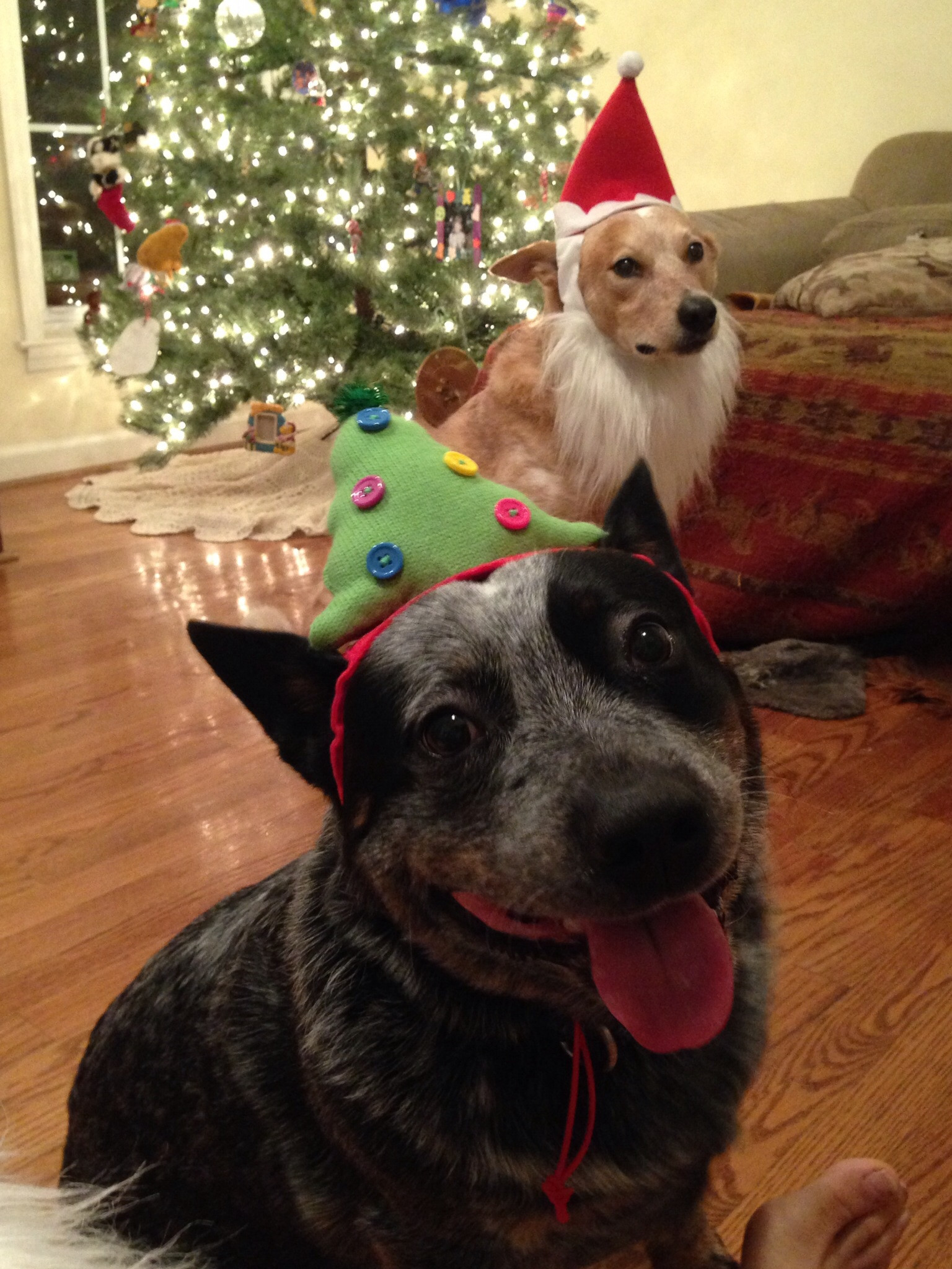 ruin-xmas-5.jpg