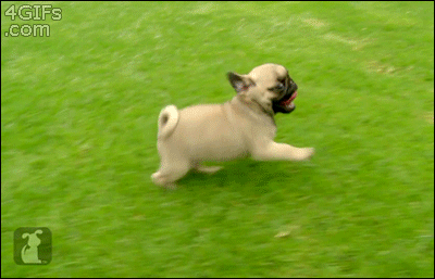 runwithme.gif runwithme.gif