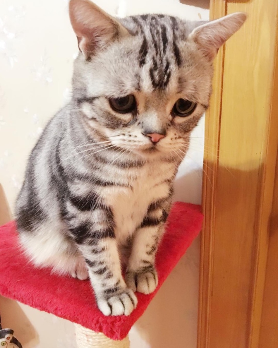 sad-2.jpg
