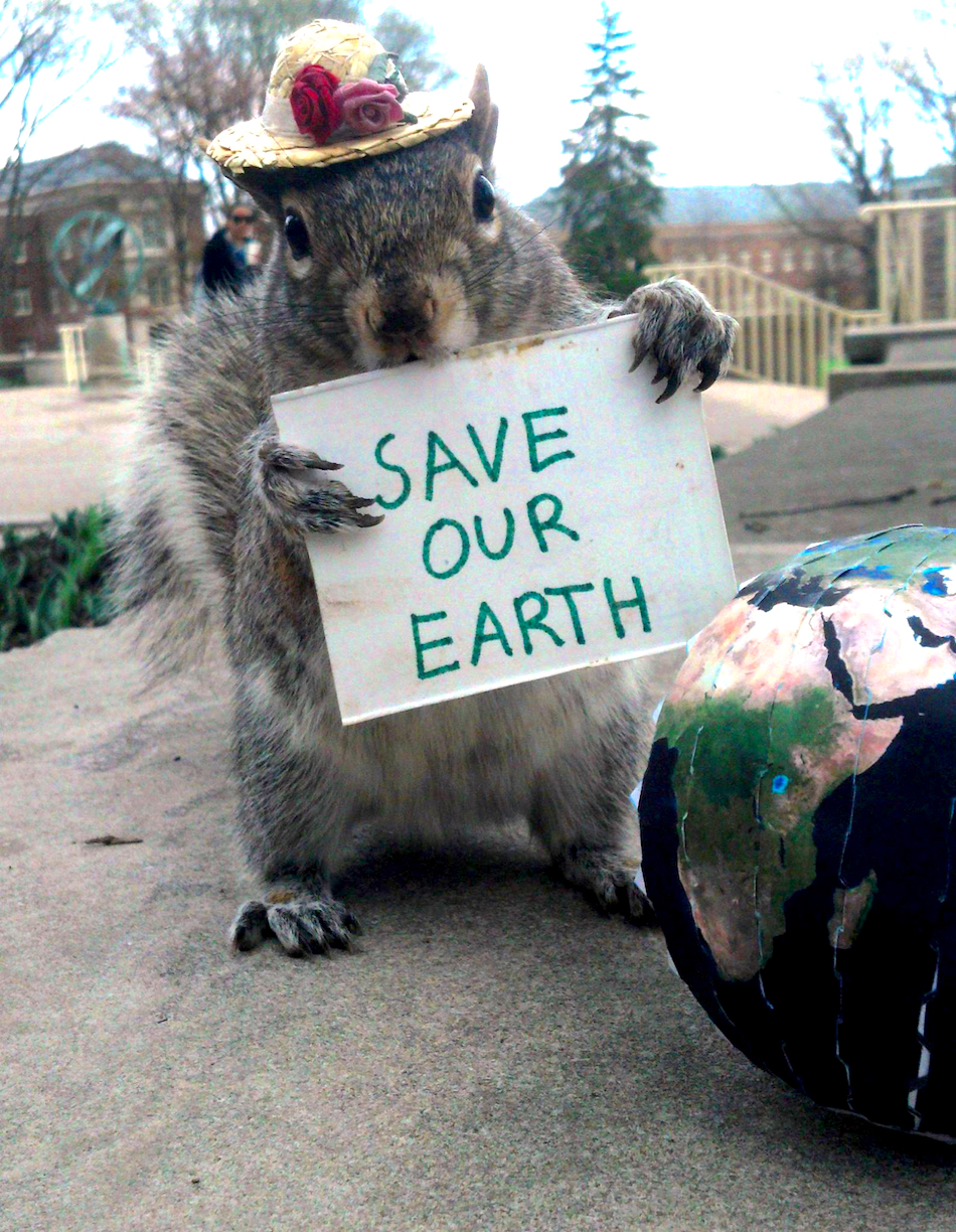 save-our-earth.jpg