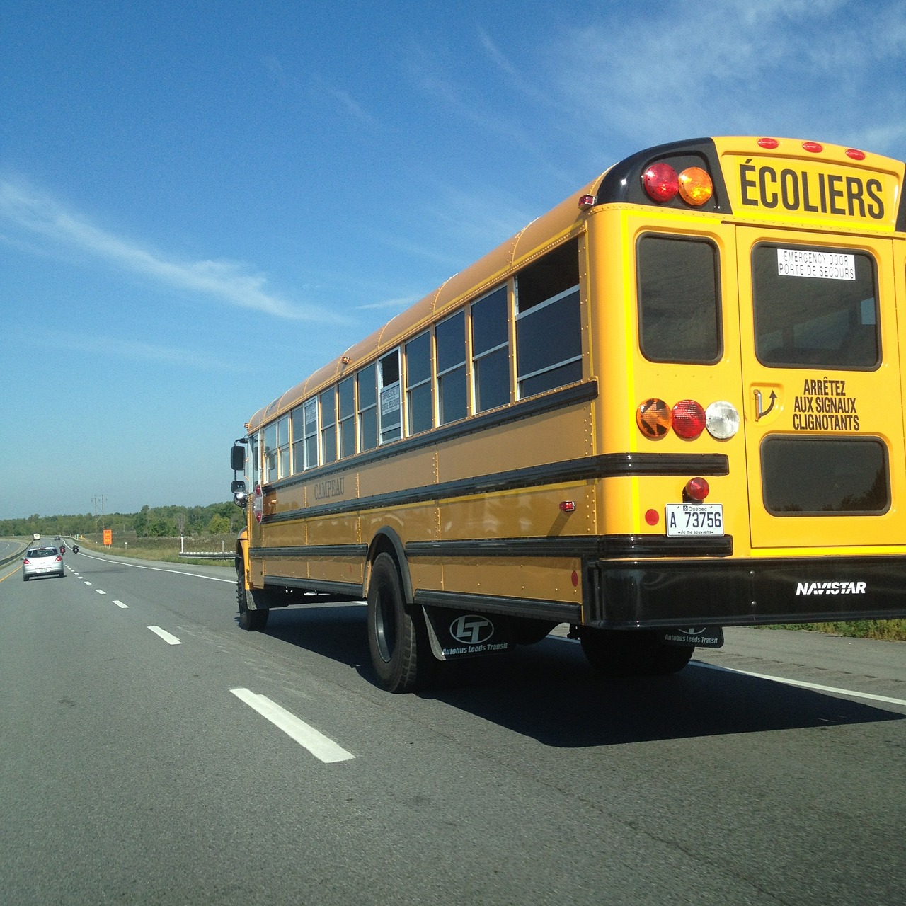 school-bus-489365_1280.jpg
