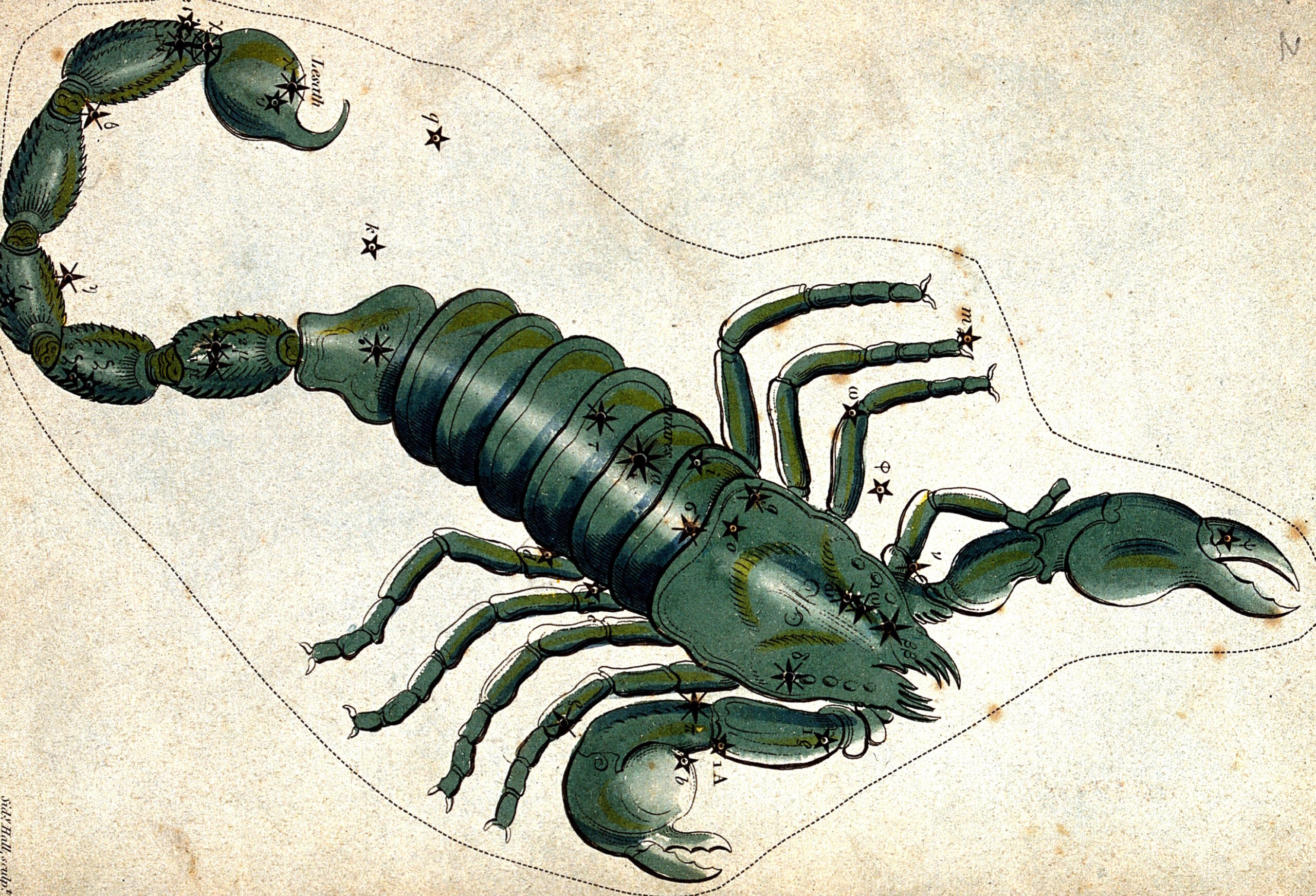 V0024929 Astrology: signs of the zodiac, Scorpio. Coloured engraving.