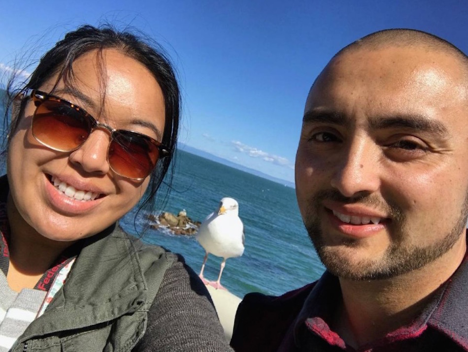 seagull.jpg