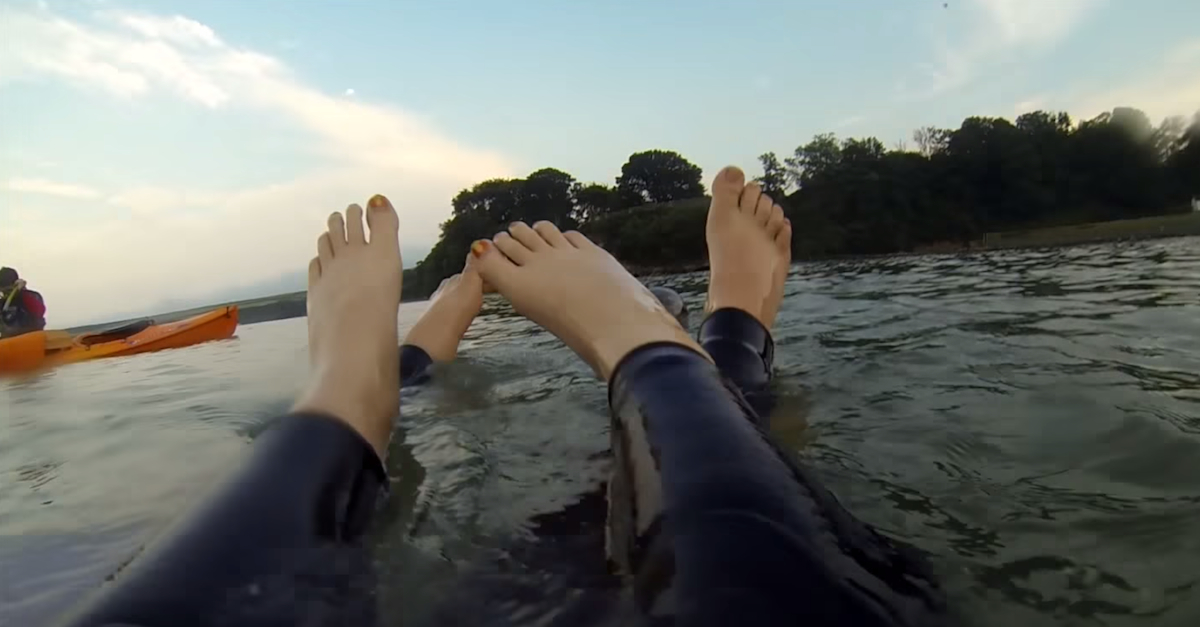 seal feet