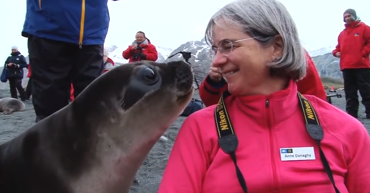 When They Arrived On An Island The Most ADORABLE Thing Was Waiting For ...