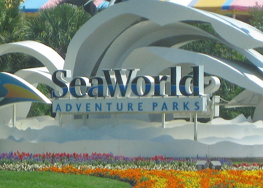 seaworld_1.jpg