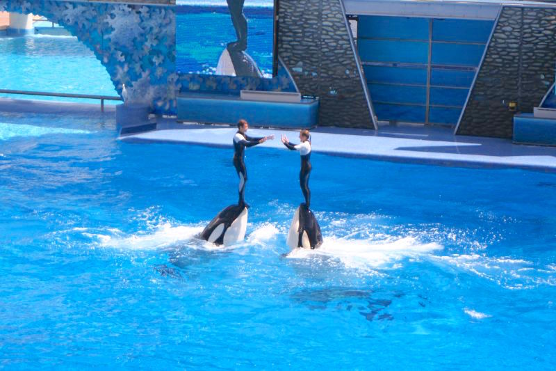 seaworld_3.jpg