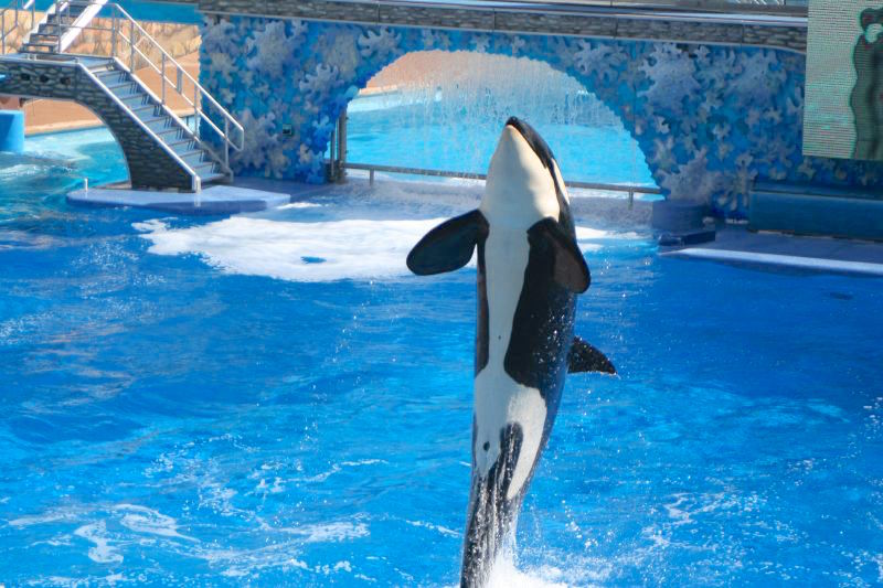 seaworld_4.jpg