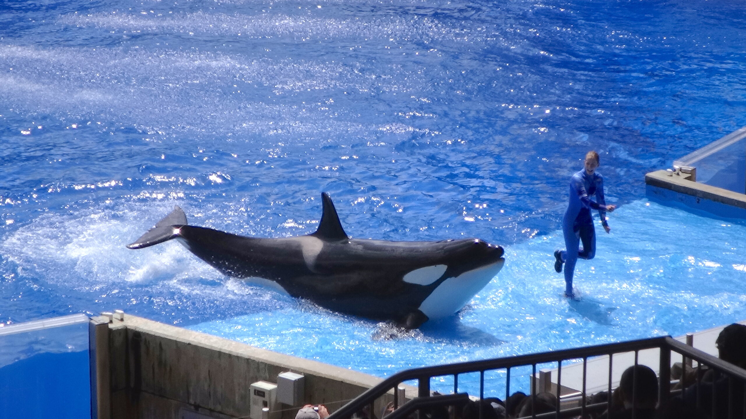 seaworld_5.jpg