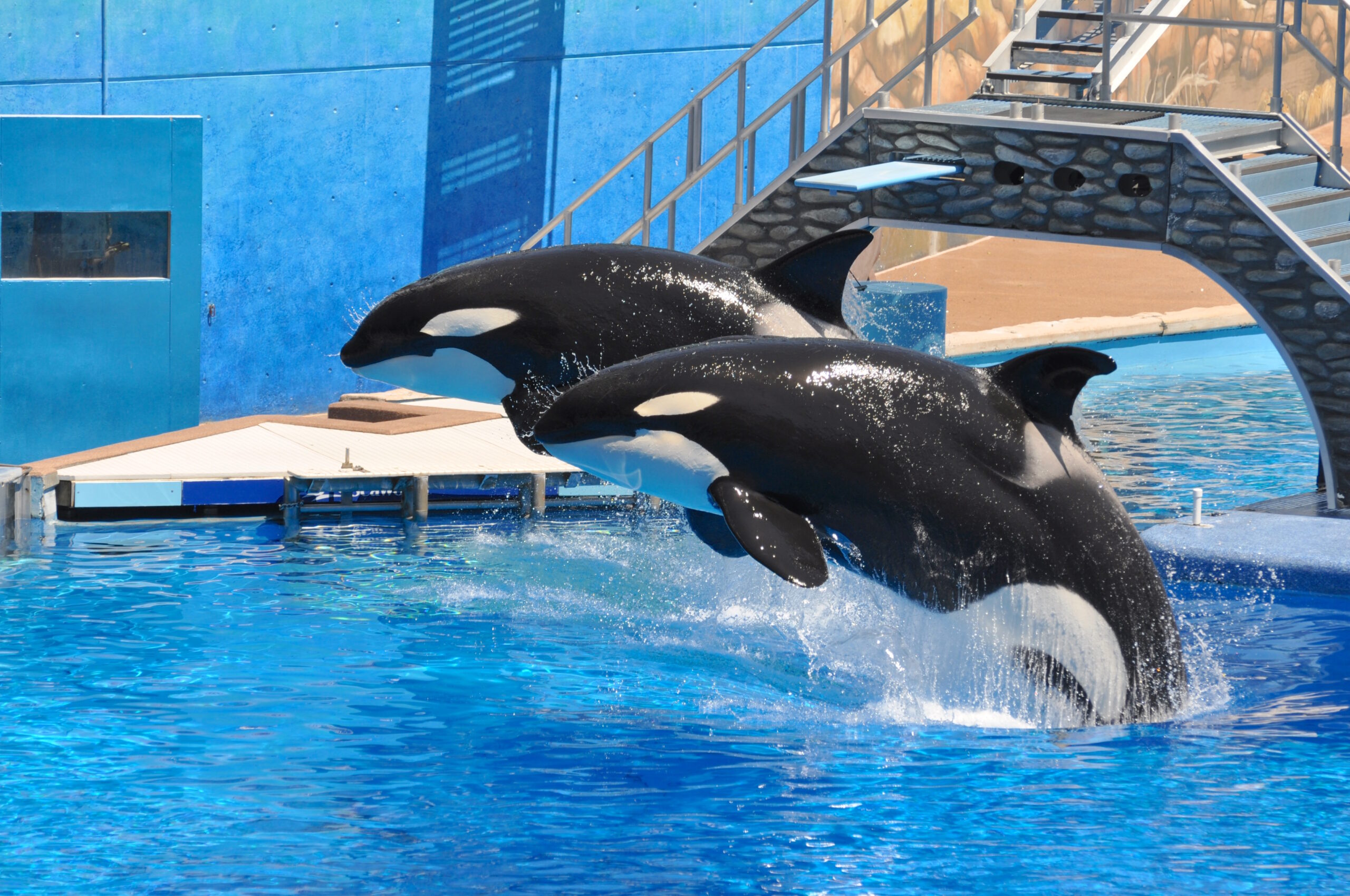 seaworld_7.jpg