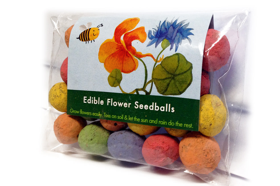 seedles-4.jpg