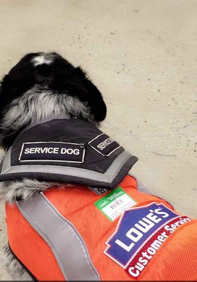 service-1.jpg