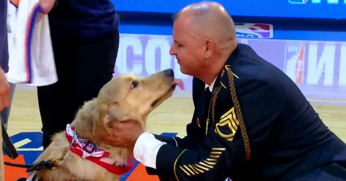 service-dog-army-veteran