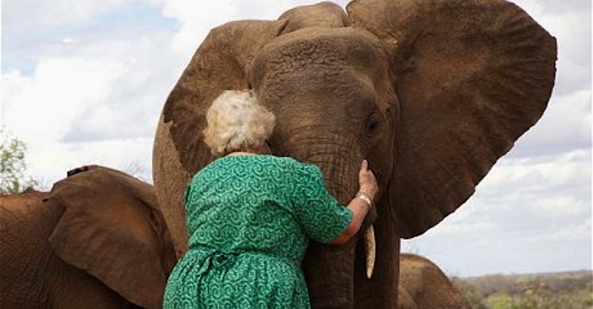 sheldrick-hug_2147803c