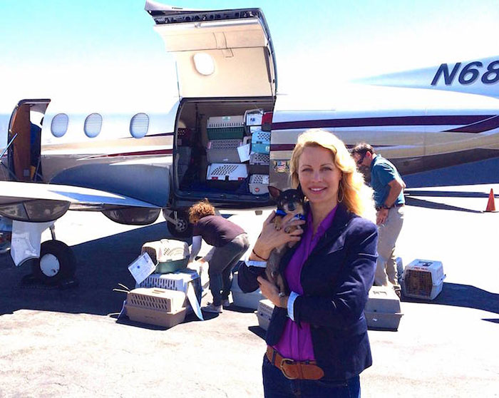 shelter-dog-airplane-transport-wings-of-rescue-yehuda-netanel-11.jpg