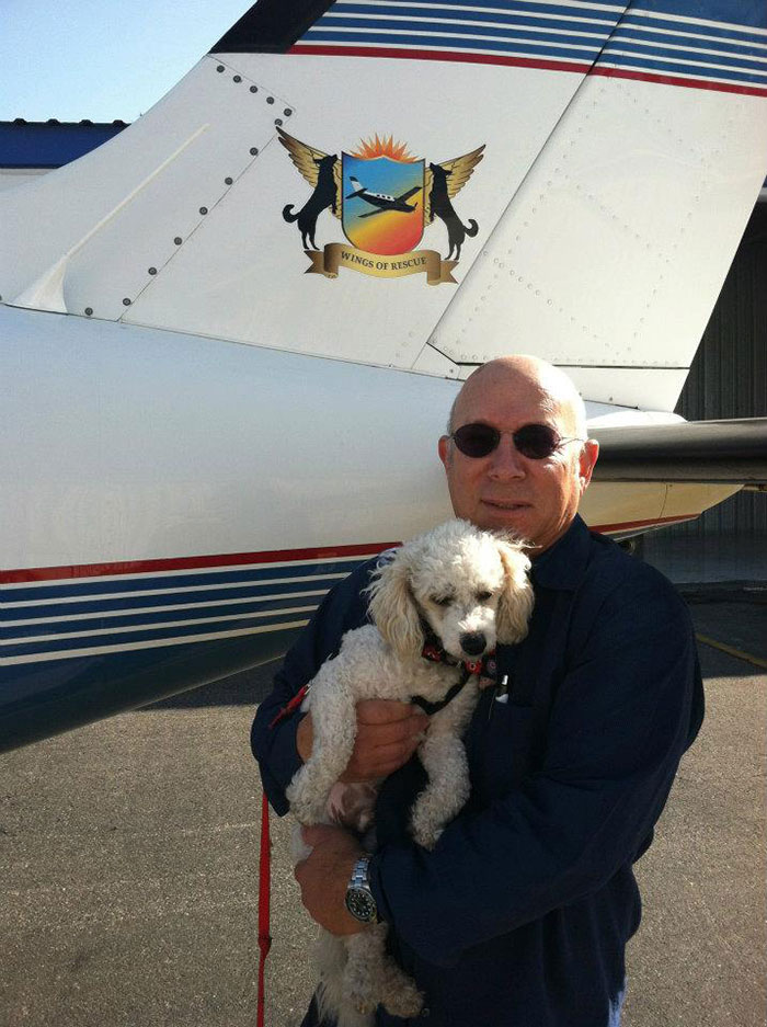 shelter-dog-airplane-transport-wings-of-rescue-yehuda-netanel-3.jpg