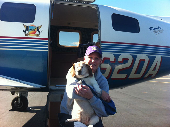 shelter-dog-airplane-transport-wings-of-rescue-yehuda-netanel-4.jpg
