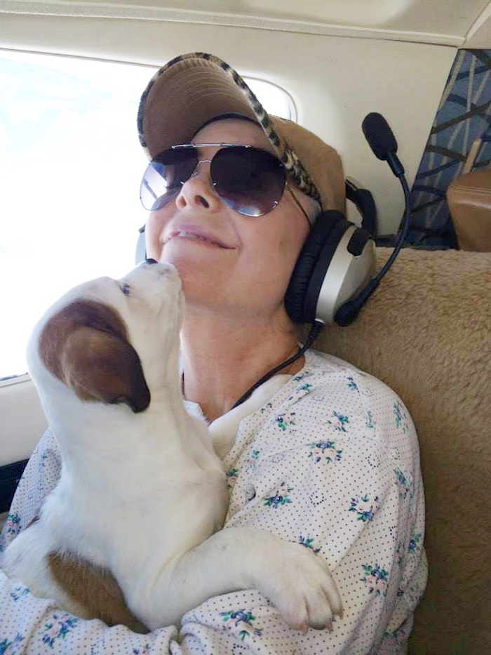 shelter-dog-airplane-transport-wings-of-rescue-yehuda-netanel-8.jpg