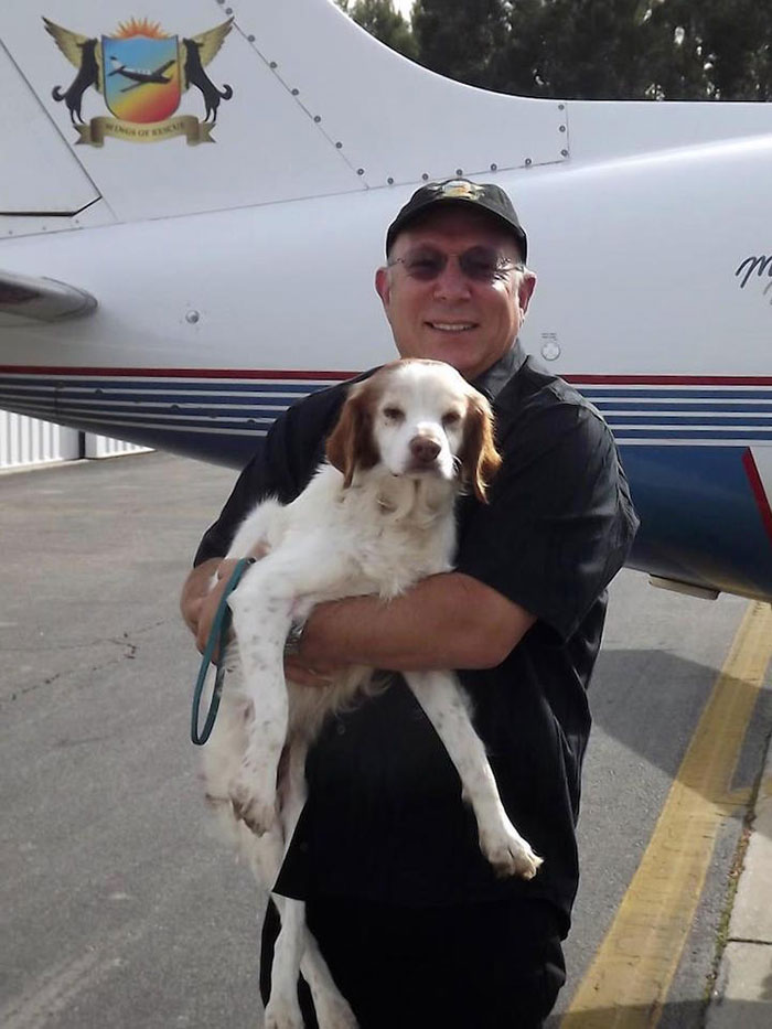 shelter-dog-airplane-transport-wings-of-rescue-yehuda-netanel-9.jpg