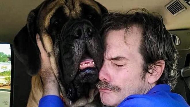 sherman-therapy-dog