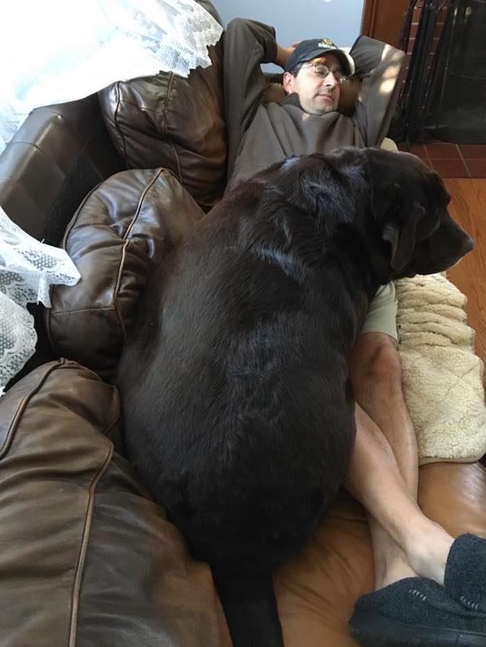 shiloh-dog-weight-loss-8.jpg