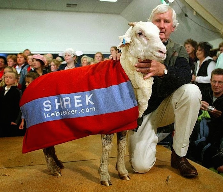 shrek-the-sheep-26.jpg