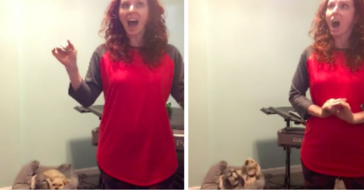 mom-sings-with-dogs