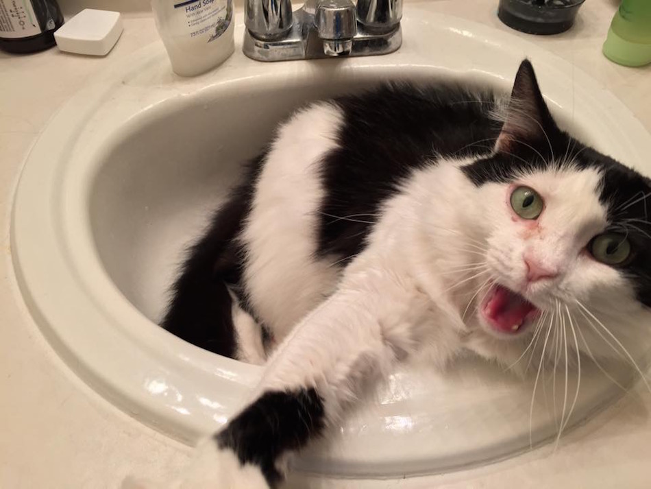 sink-2-1.jpg