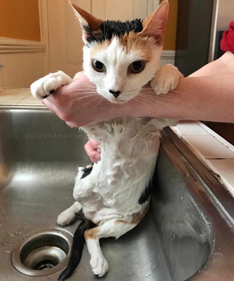 sink-bath.jpg