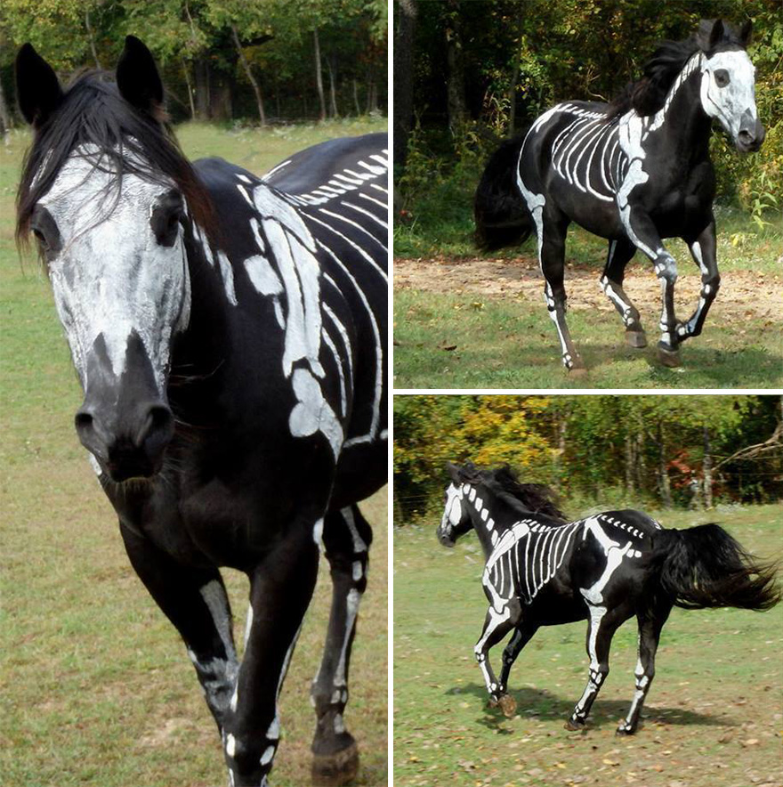 skeleton-dog-halloween-costume-non-toxic-pet-paint-13.jpg