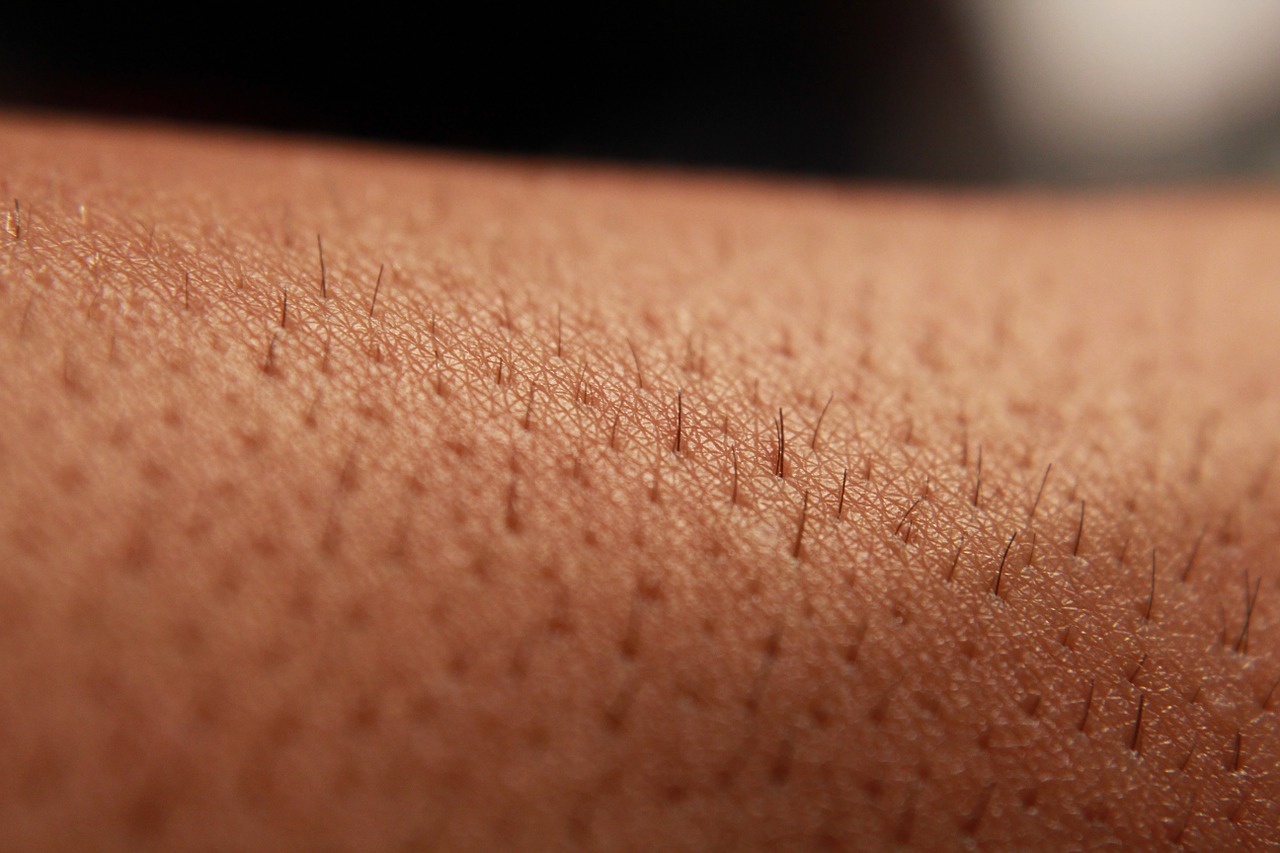 skin-222664_1280.jpg